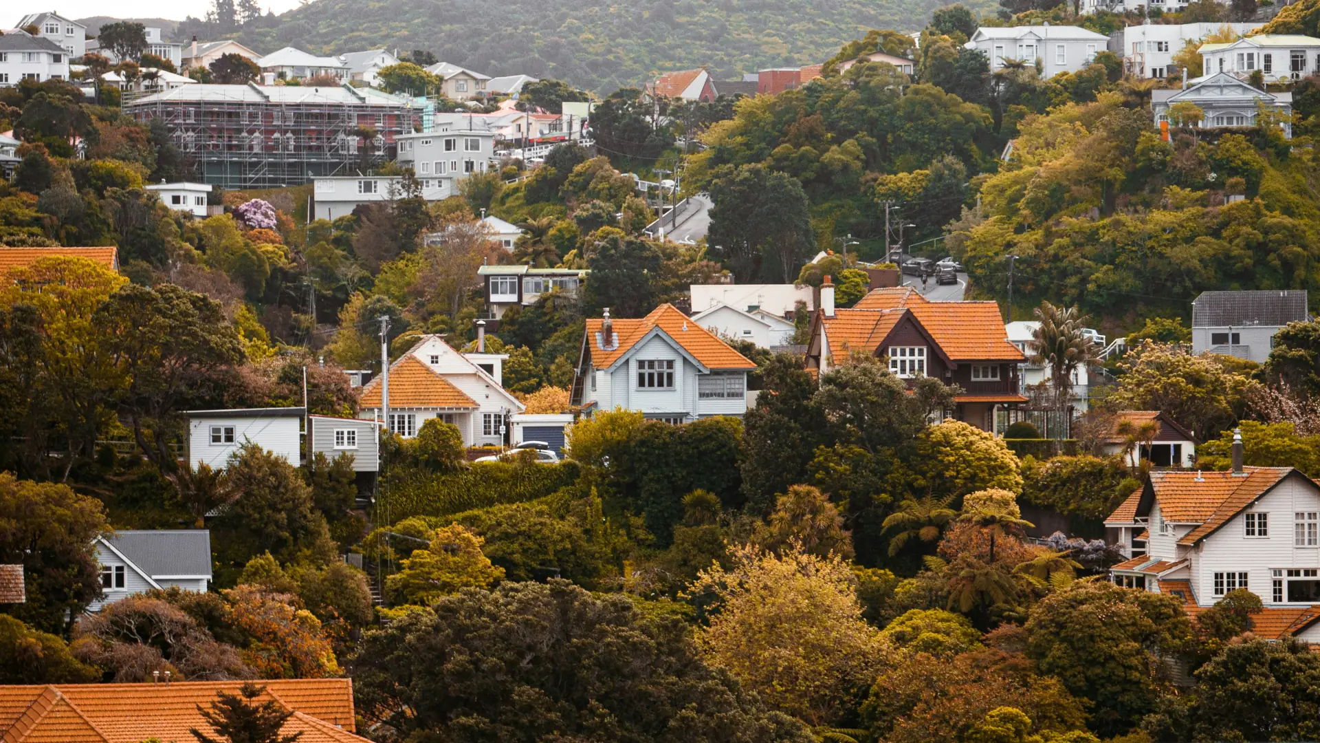Auckland residential hillside showing subdivision context