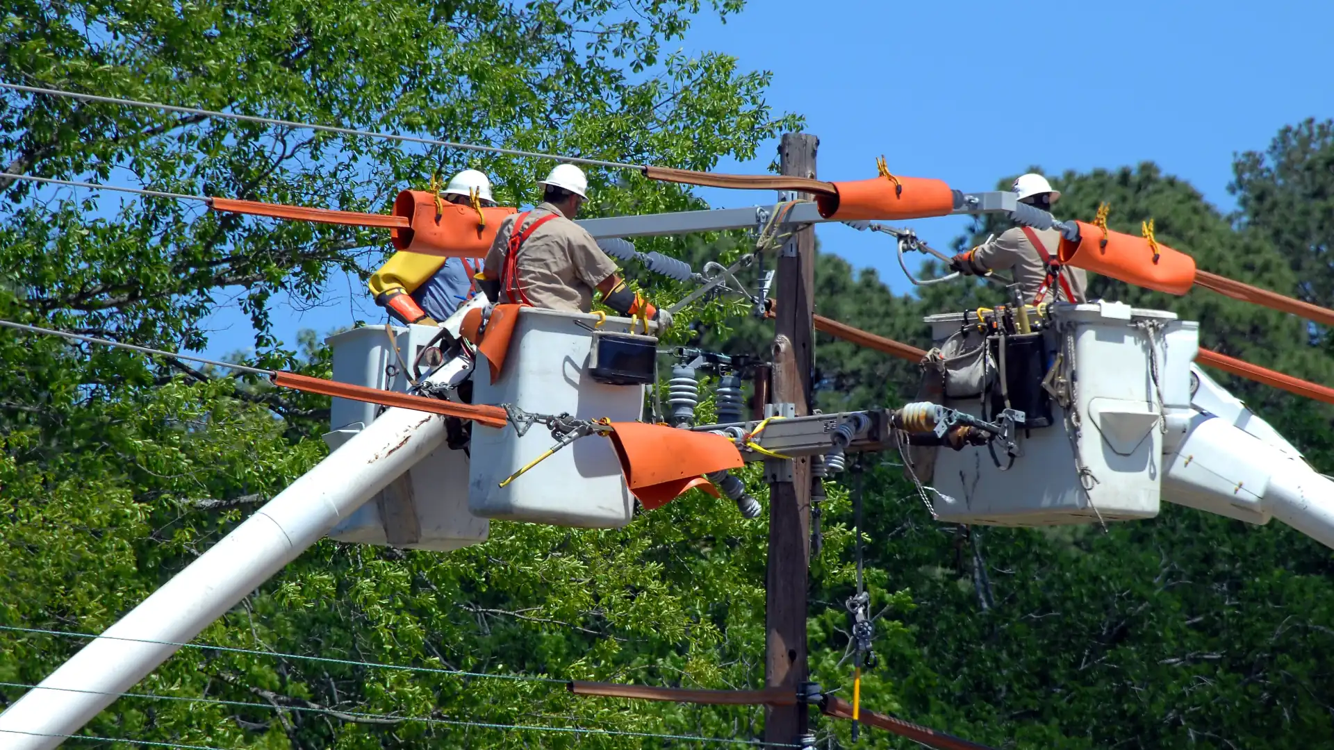 Service workers on powerpole - easements nz