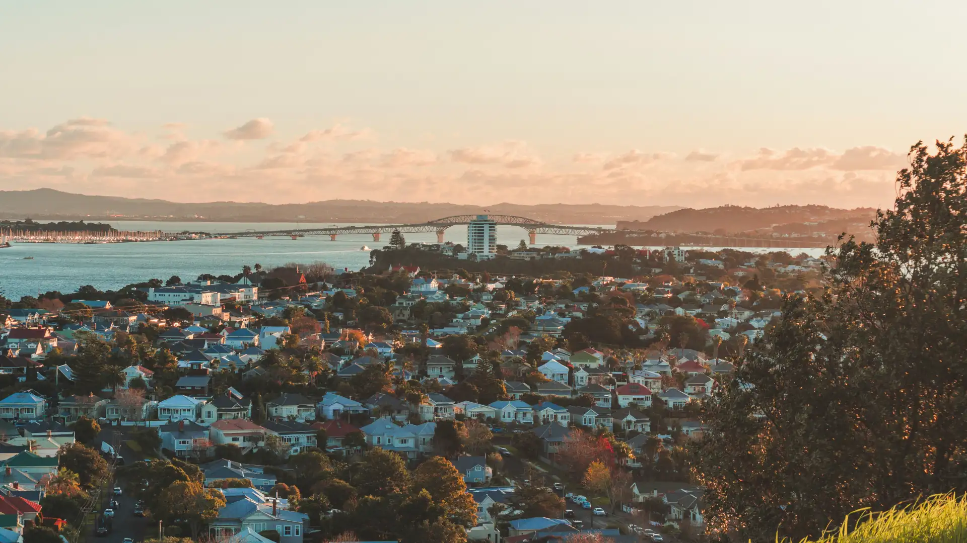 Residential Auckland suburb showing separate freehold lots