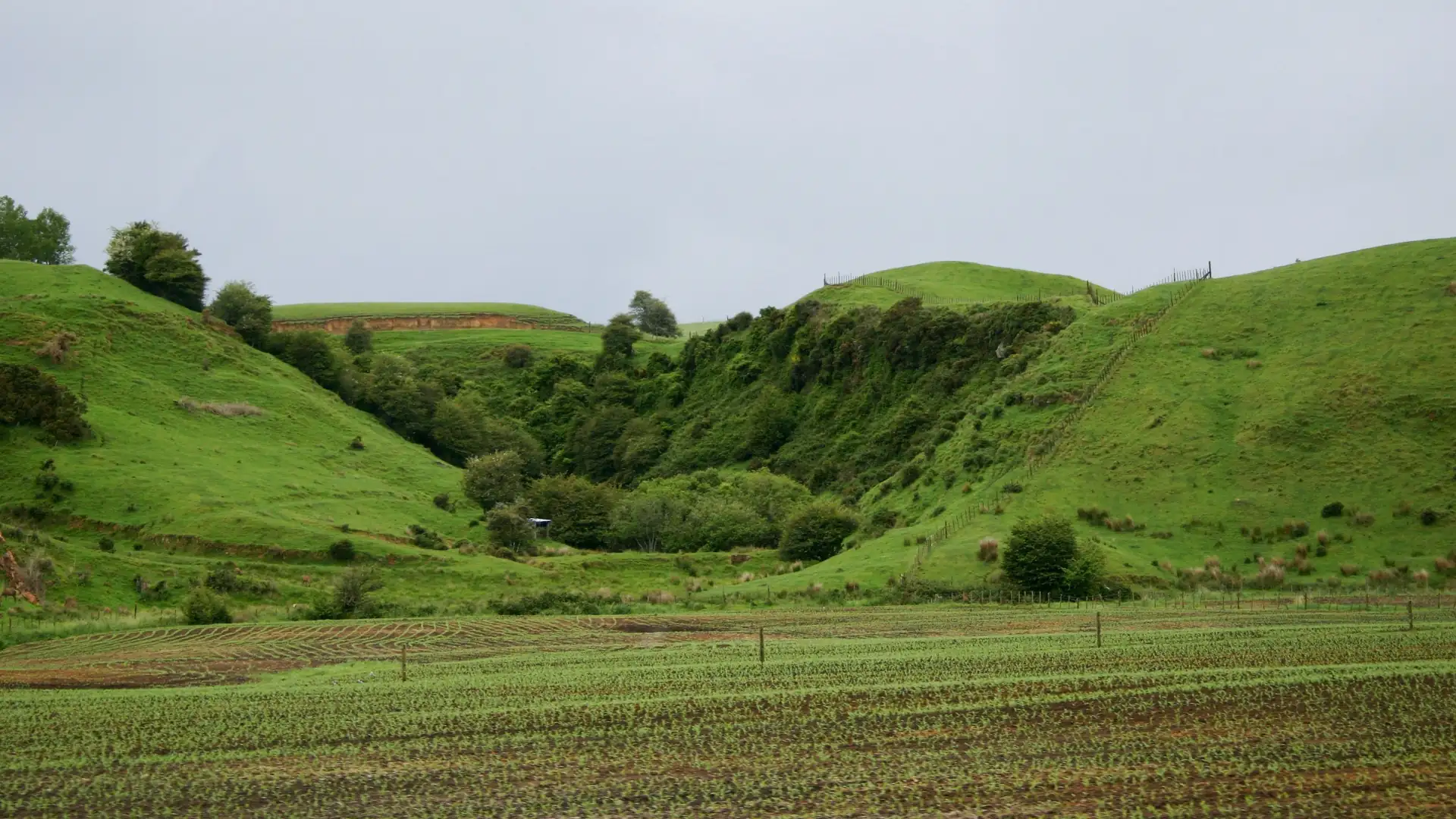 Rural countryside NZ - subdivisions